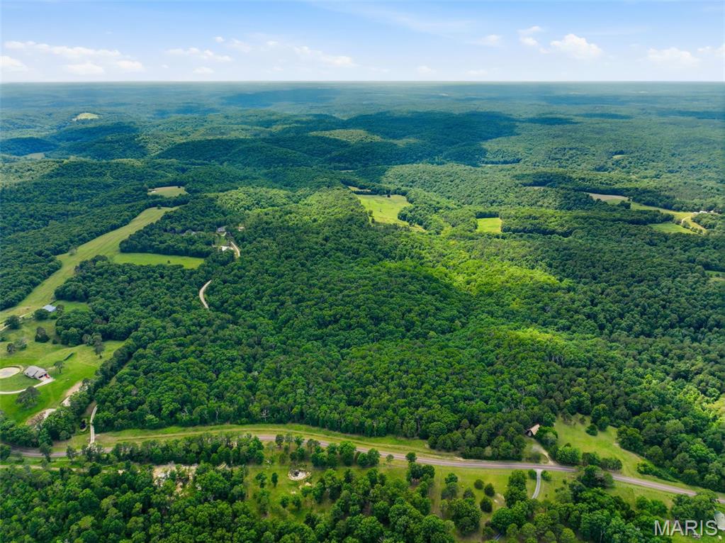 First slide